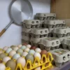 Eine Palette mit bunten Freilandeiern in den Naturfarben Grün, Braun, Weiß und Schokobraun neben gestapelten Eierkartons im Hofladen.