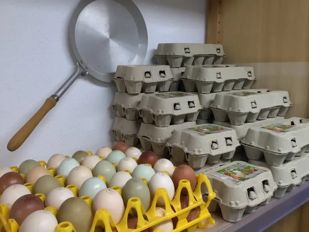 Eine Palette mit bunten Freilandeiern in den Naturfarben Grün, Braun, Weiß und Schokobraun neben gestapelten Eierkartons im Hofladen.