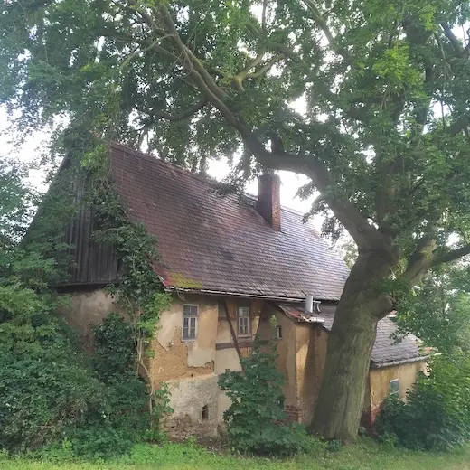 Geburtshaus von Friedrich Eduard Bilz Arnsdorf bei Penig – historisches Fachwerkhaus, unbewohnt und von Bäumen überwachsen
