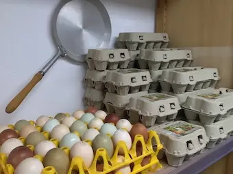 Regal im Hofladen des Geflügelhofs Arnsdorf mit frisch verpackten Eierkartons und einer Palette bunter Freilandeier.