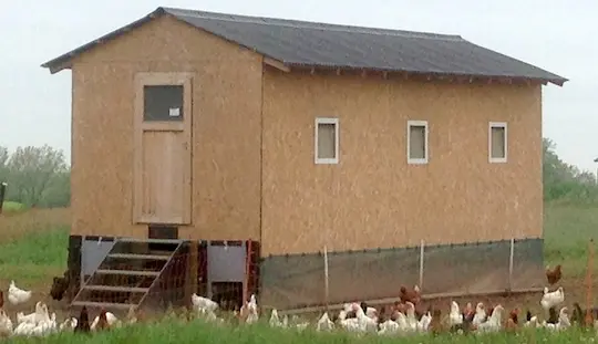 Ein mobiler Hühnerstall auf einer grünen Weide mit freilaufenden Hühnern beim Geflügelhof Arnsdorf in Penig. Ihr nachhaltiger Geflügelhof in der Nähe für frische Freilandeier in Sachsen