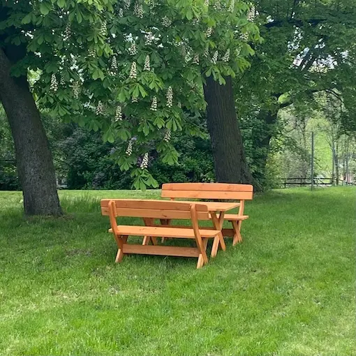 Sitzgelegenheit zum Genießen von Hofeis aus Arnsdorf bei Penig unter dem Kastanienbaum vor dem Hofladen des Geflügelhofs