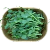 Erbsen-Microgreens in Pappschale – Geflügelhof Arnsdorf Verzehrfertig geerntete Erbsen-Microgreens mit zarten Stängeln und Blättern in einer umweltfreundlichen Pappschale vom Geflügelhof Arnsdorf.