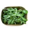 Verzehrfertige geerntete Sonnenblumen-Microgreens verpackt in einer nachhaltigen Pappschale vom Geflügelhof Arnsdorf. Verzehrfertige geerntete Sonnenblumen-Microgreens verpackt in einer nachhaltigen Pappschale vom Geflügelhof Arnsdorf.